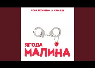  Ягода малина