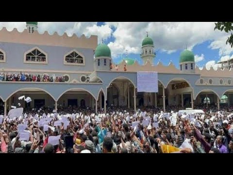 Manzuumaa Raayyaa Abbaa Maccaa 14ffaa