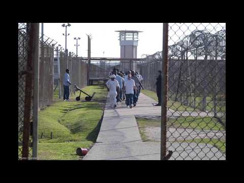 Pragulka Giorgi Janjibuxashvili