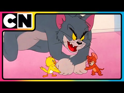 Tom And Jerry Watch Non Stop Chaos Cartoon Animation Video Cnindia
