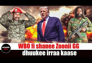 WBO Fi Shanee Zoonii GG Dhuukee Irraa Kaase