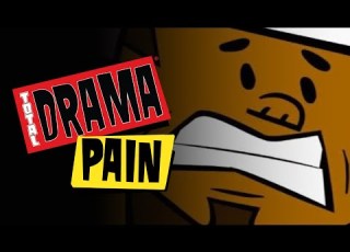  How Much Did DJ Suffer Total Drama Pain