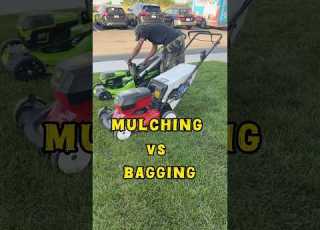 Should You Mulch Or Bag Shorts Lawn
