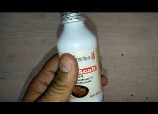 Besto Scab Lotion Review स क ब ज स नह म ल रह र हत अपन ए य ल शन