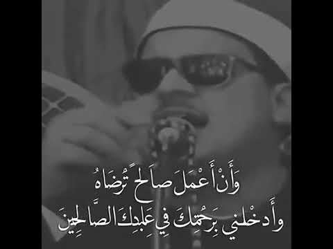 الشيخ ممدوح عامر وتفقد الطير