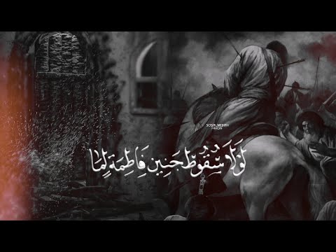لولا سقوط جنين فاطمة لما باسم الكربلائي