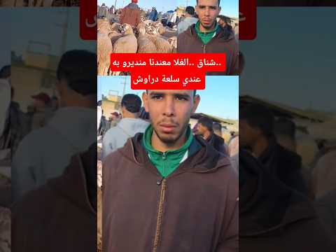 Shanaq We Don T Have Anything To Do With The High Prices I Have Cheap Goods Shanaq We Don T Have Anything To Do With The High Prices I Have Cheap Goods