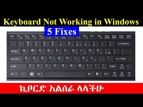 How To Fix Keyboard Not Working Issue In Windows 5 Methods ኪቦርድ አልሰራ ላላችሁ Windows 11 10 8 7