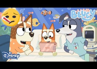 Hastalık Bluey DisneyPlusTR