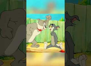  TOM AND JERRY The Truce Hurts Short Virals