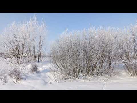 No 5 The Day I Met Her Esther Abrami No 5 The Day I Met Her Esther Abrami