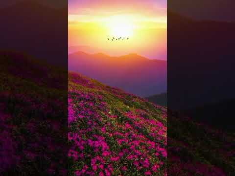 Ringtone Guzarish Ghajini Instrumental Ringtone