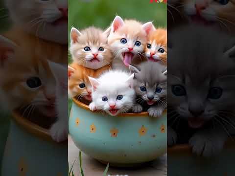 Bessan Ismail Al Harbein Official Music Video بيسان اسماعيل الحربين Bessan Ismail Al Harbein Official Music Video بيسان اسماعيل الحربين