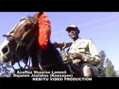 Dejene Jalata Assaffaa Shaaroo Lammii Oromo Music