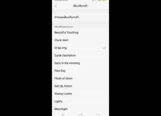 Ringtones Alarm On Vivo Y91i Smartphone