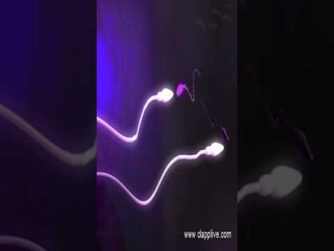A Great Competative Journey Of Your Sperm Human Fertilization In 45 Seconds Everyone
