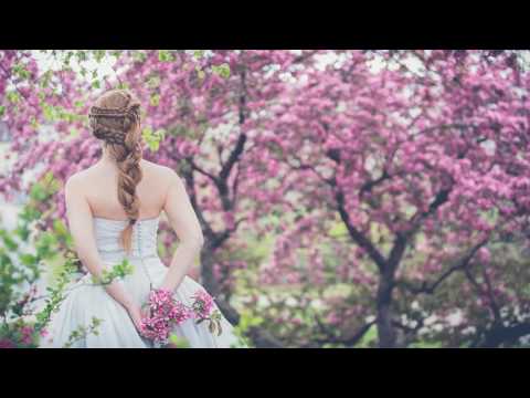 El Bacha Et Chikh Sedik La3res الباشا والشيخ الصديق حالف على لعراس