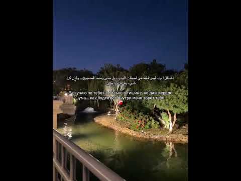 اشتاق اليك ليس فقط لحظات الهدوء بل حت وسط الضجيج وكان كل شي يناديك بداخلي