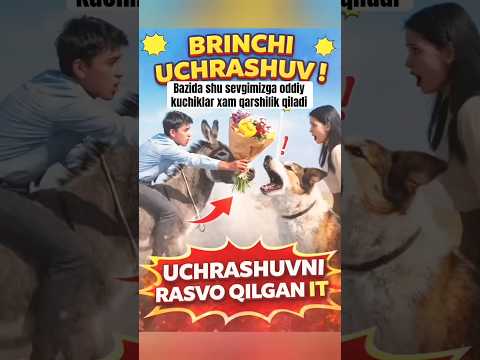 Like Bosishni Unitmang Duet Azob Funny Milliy Automobile Sad Memes Respect Rek Love