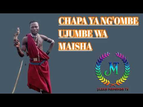 GALUNDE SHOMA UJUMBE WA MAISHA 0664557774 Msambazaji Jileka Mapanda TV 2026