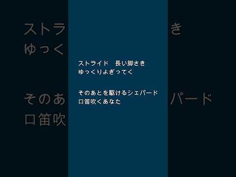 スローモーション 中森明菜 縦型カラオケ