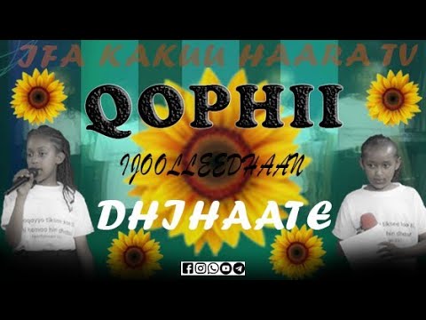Qophii Ijoolleedhaan Dhihaate Ifa Kakuu Haaraa Tv Qophii Ijoolleedhaan Dhihaate Ifa Kakuu Haaraa Tv