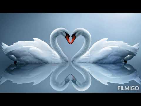 А сердце тук тук тук стучит от счастья А сердце тук тук тук стучит от счастья