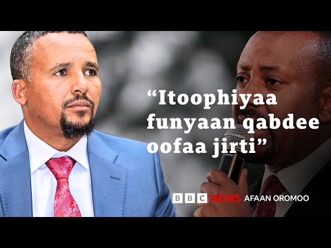 Jawaar MM Abiy Ulaa Galaanaa UAE Fi Sa Udi Ertiraa TPLF Fi Qabsoorratti BBC News Afaan Oromoo