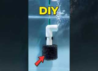  DIY Mini Sponge Filter For Nano Aquariums