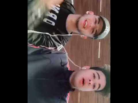 قولتلها لا بلاش من كدا