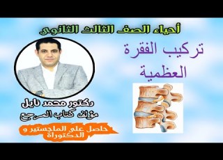 شرح تركيب الفقرة النموذجية 2023