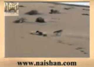 من تراث الهبانيه بواسطة فتحى ونيس