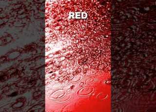  Red Rain In Kerala Blood From The Sky UNSOLVED Mystery Of 2001 Shorts History Redrain