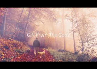 Vintage Morelli X Arielle Maren Gift From The Gods Extended Mix Monstercat