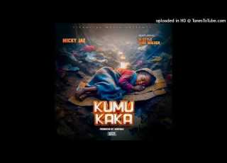 Micky Jae Ft King Walker M Style Kumukaka Audio Visualizer