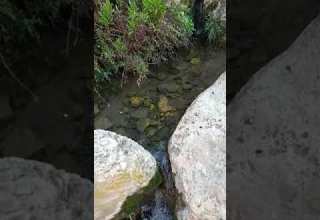 طله على عين من عيون قريتنا حرفيش عين الرعيش מעין רטט وادي الحبيس ואדי אלחביס