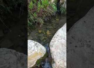 طله على عين من عيون قريتنا حرفيش عين الرعيش מעין רטט وادي الحبيس ואדי אלחביס
