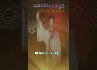 كوكب الصعيد محمود سليم الجديد عالوجع ليه شجر الناس يطرح عسل وانا شجرى يطرح مر