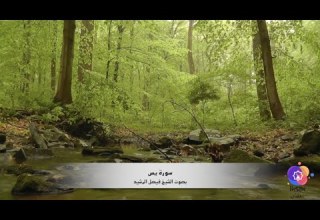 تلاوة لسورة يس بصوت فيصل الرشيد Recitation Of Surah Yaseen By Faisal Al Rushaid