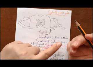 ثانية ثانوي الدرس الثاني جزء الثاني تجارب بال و ماجندي