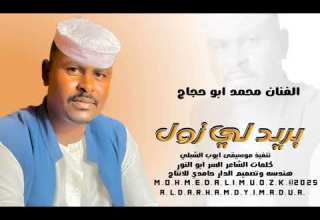 بريد لي زول الفنان محمد ابو حجاج هندسه وتصميم الدار حامدي