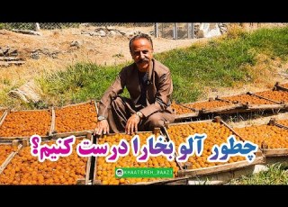 چطور آلو بخارا درست کنیم