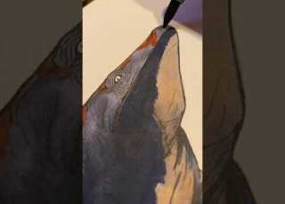 Drawing The Mosasaurus From Prehistoric Planet
