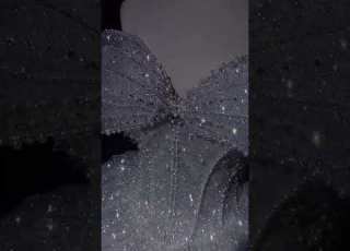 فساتين خطوبة 2025 كل ما هو جديد في عالم الموضة