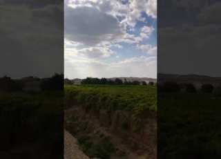  بني حشيش الجميله