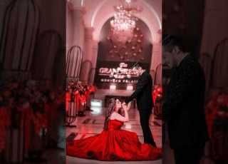  Propose Day Special Status Happy Propose Day Whatsapp Story 2025 Propose Day 2025 Short