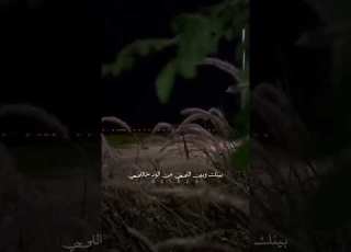 يا قلب ماحيدك على الود مكلوف شعر ابيات قصايد أبيات شعر خواطر اشعار