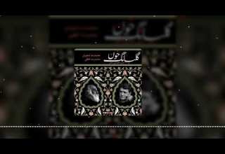 گلبانگ خون اجرای خصوصی محمدرضا شجریان و محمدرضا لطفی