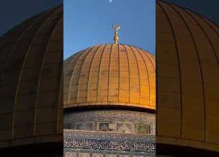 يا أجمل ما رأت عيناي اشتقنالك Islamicscripture Newton Dbg Palestine
