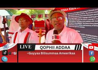  OMN Qophii Addaa Guyyaa Bilisummaa Ameerikaa Fi Hawaasa Oromoo Minnesotaa Adoolessa 5 2026